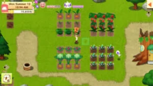 Harvest Moon Light of Hope Special Edition Switch